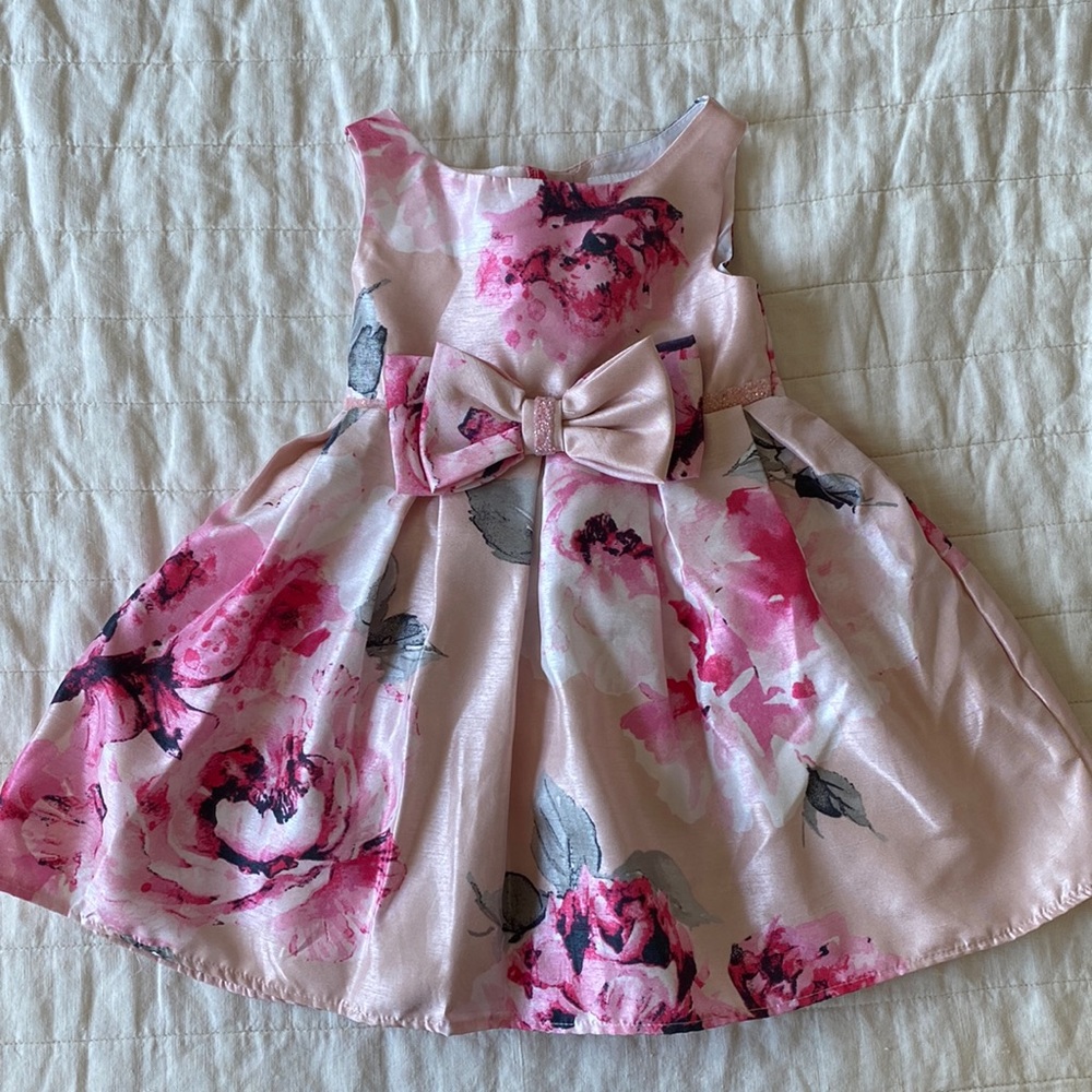 Sweet Heart Rose Floral Pink Sleeveless Dress Size 24 Months